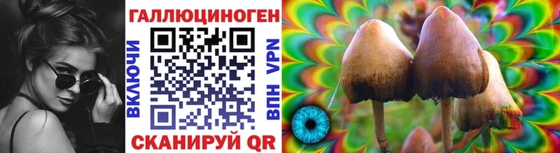 Псилоцибиновые грибы мицелий  Снежногорск 