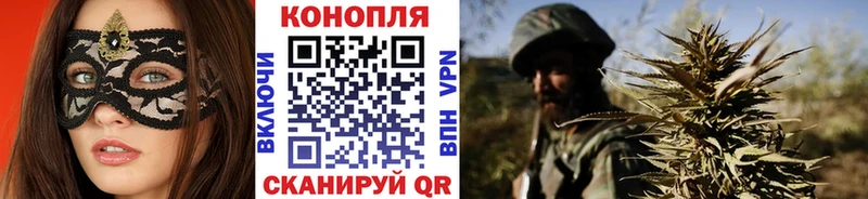 Бошки Шишки THC 21%  маркетплейс Telegram  мега как зайти  Снежногорск  наркотики 